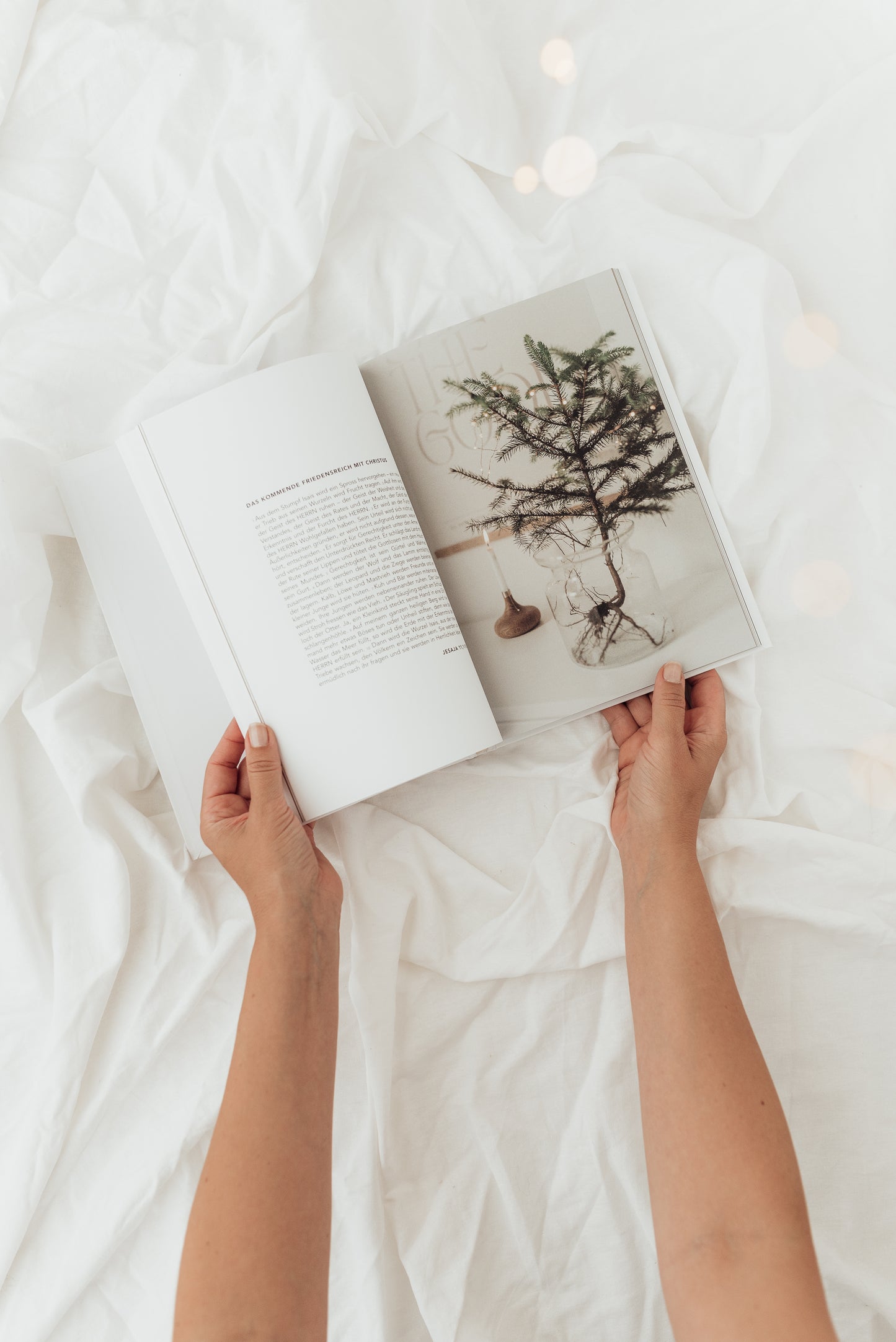 Advent - Coffee Table Book